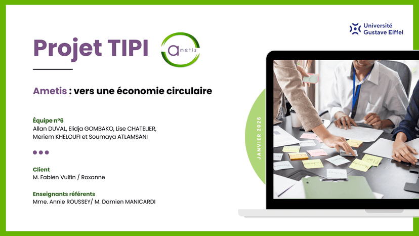 TIPI — Fluxus (start-up MainXa) — 4